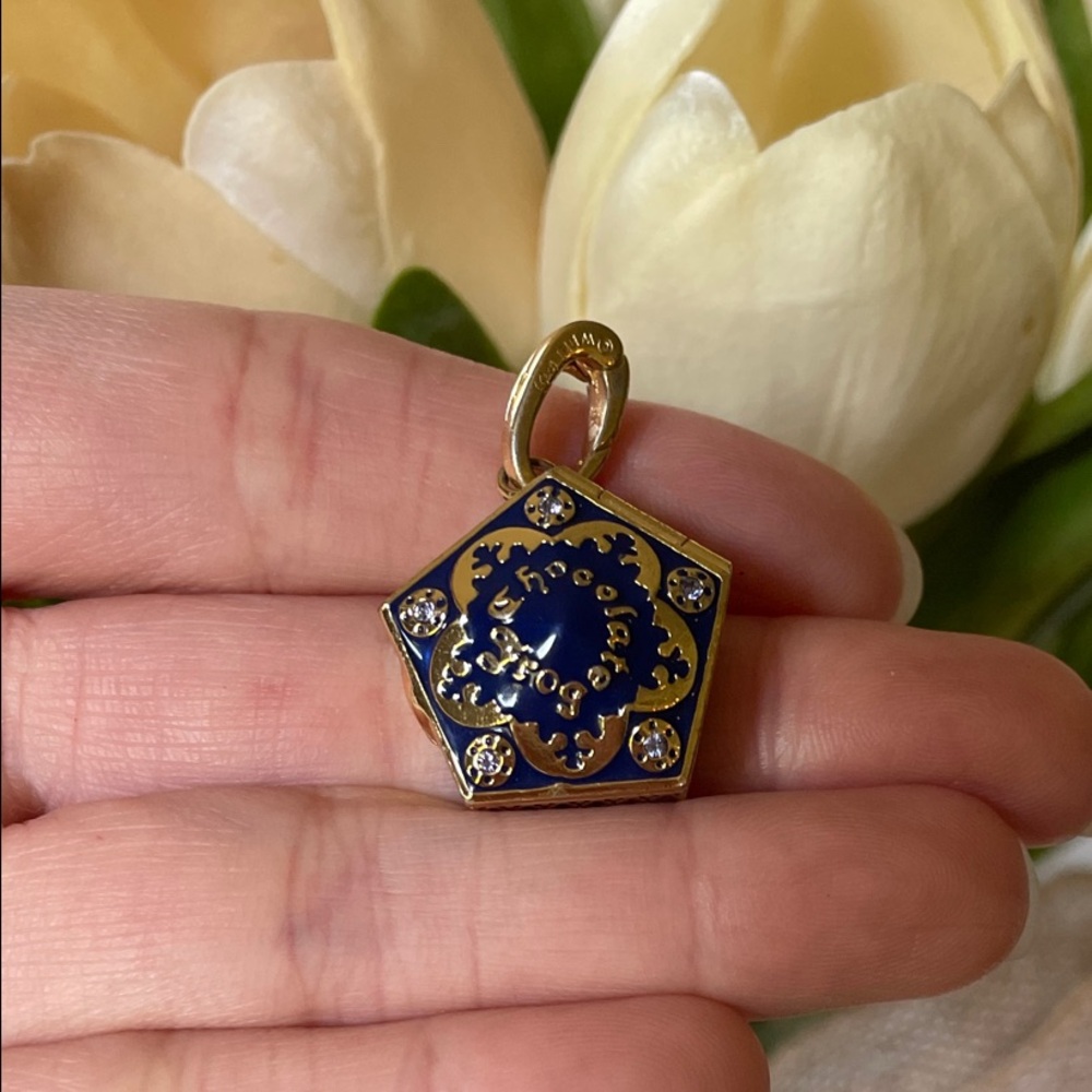 Lumos Collection Harry Potter Chocolate Frog Charm #19